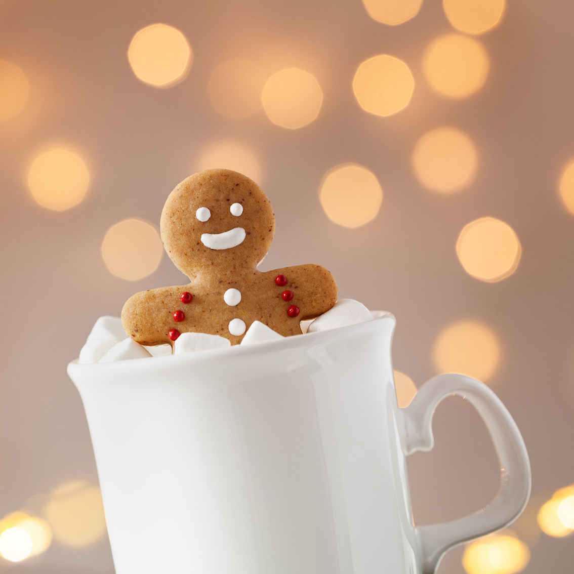 Gingerbread in a mug