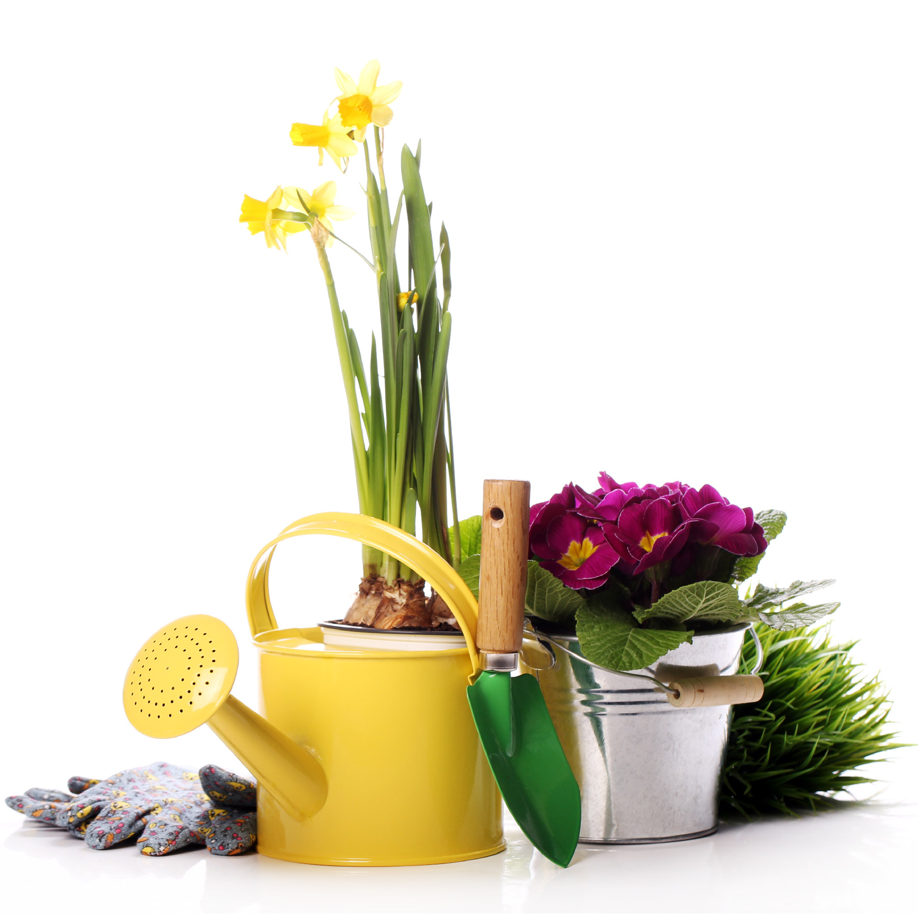 Watering can, flowers, gardening gloves, and shovel
