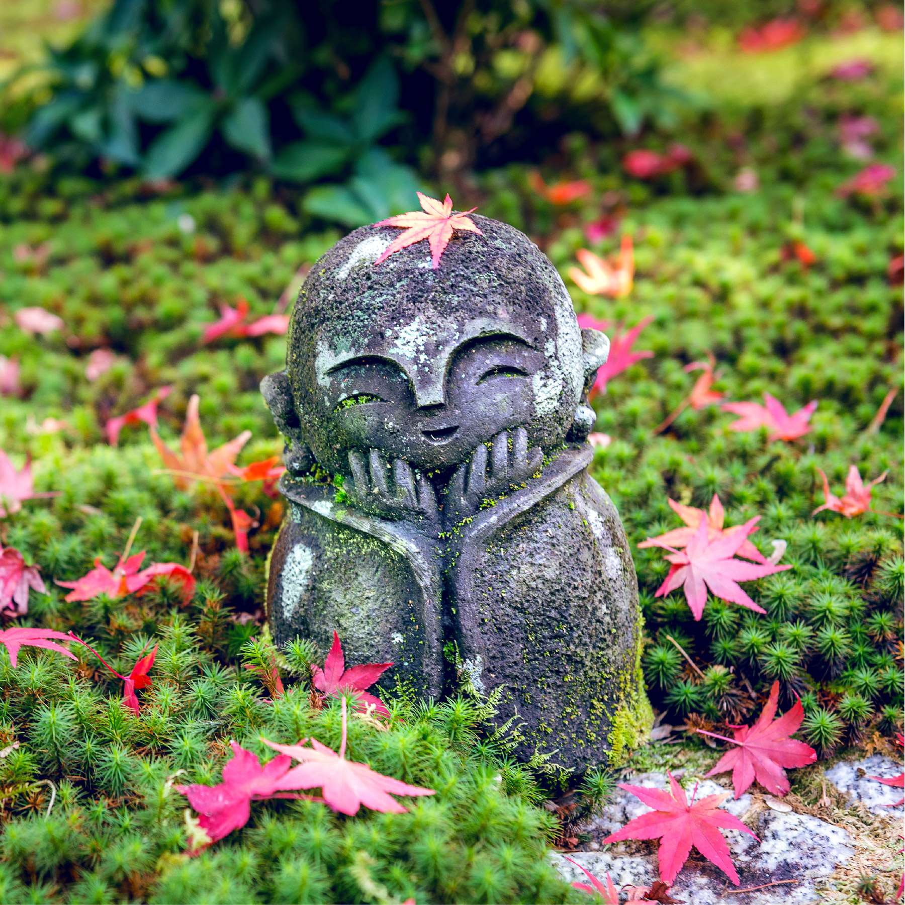 Stone Budda Statue in garden with pink flowers