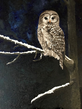 Owl in a tree