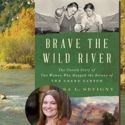 Brave the Wild River book cover