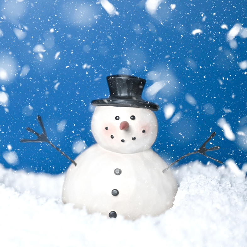 snowman in a blizzard