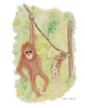 Monkey and kitten hanging from a rope