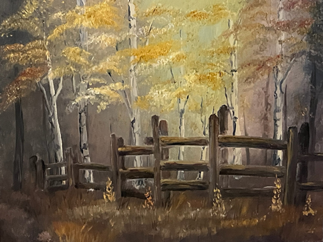 Wooden fence in a forest