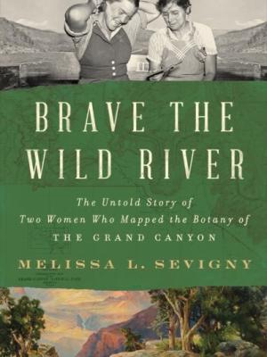 Brave the Wild River cover image