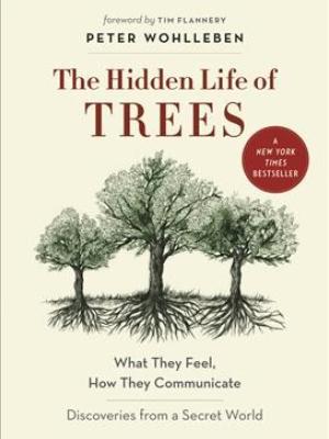 Hidden life of trees cover image