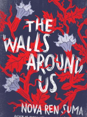 The Walls Around Us by Nova Ren Suma cover image