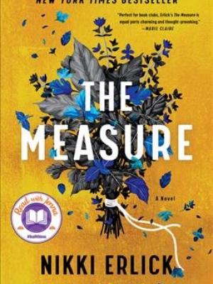 The measure: a novel cover