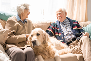 Senior man and woman sitting on couch with golden retriever dog