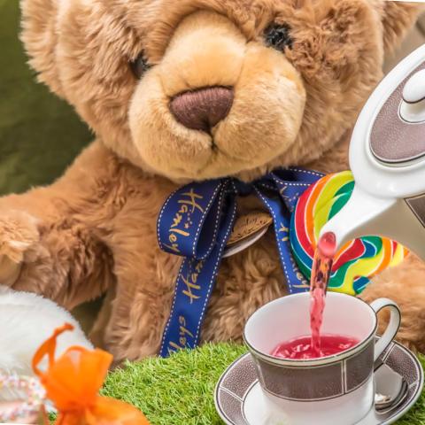 Teddy bear pouring tea