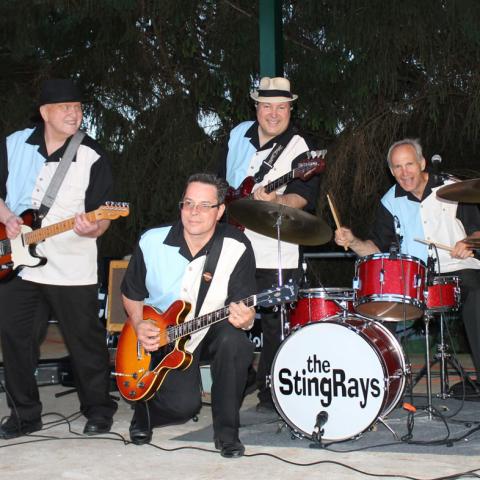 The Stingrays band members performing