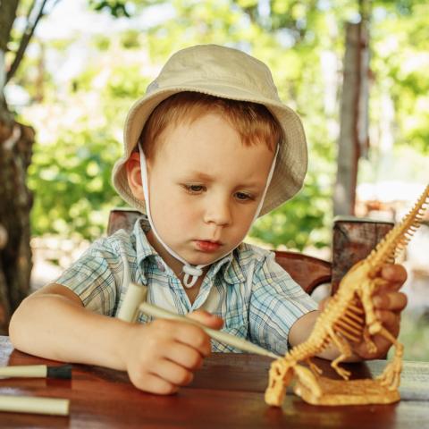 Child exploring dinosaur skeleton