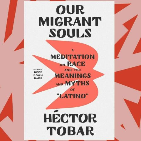 Our Migrant Souls book cover