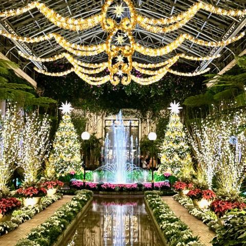 Conservatory elaborately decorated for the holidays