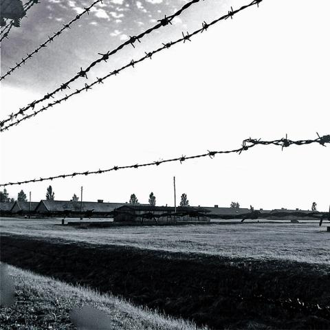 Auschwitz 