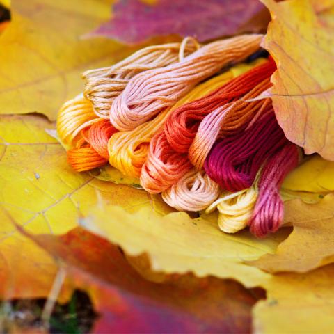 String in fall leaves