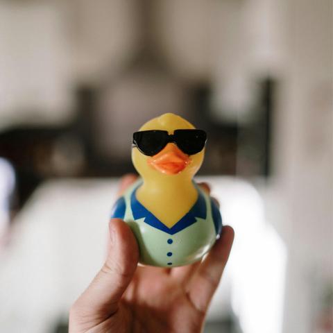 Rubber duck wearing glasses