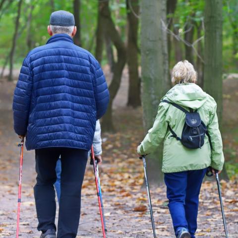 Older adults hiking with walking sticks