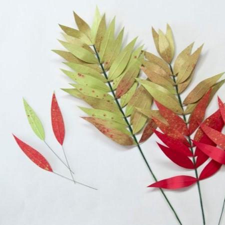 Paper sumac branch in fall colors