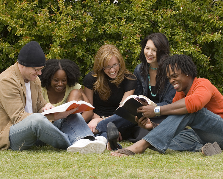 Group of five adults sitting on lawn and looking in books